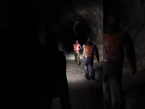 Alaskan Bull Worm #monster #scary #lightsareoff #creepy #cursed #shorts