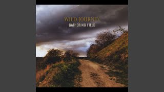 Wild Journey