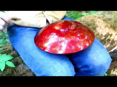 Играем на Фимбо "Огонь" в лесу
