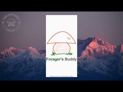 Forager's Buddy - GPS foraging