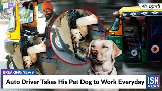 Auto Driver Takes His Pet Dog to Work Everyday