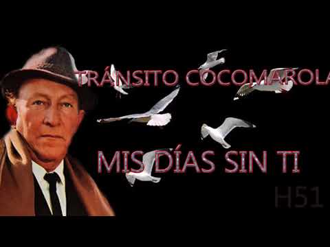 TRÁNSITO COCOMAROLA..."  MIS DÍAS SIN TI"