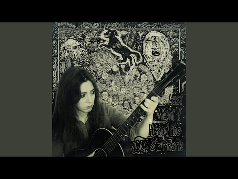 Last Night I Heard the Dog Star Bark