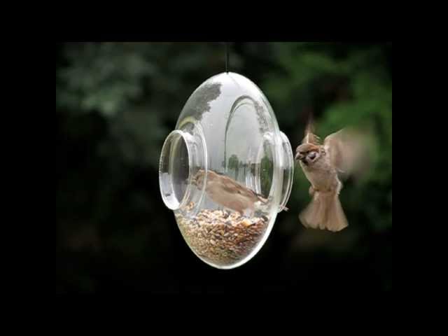 Vidéo teaser pour Futterring