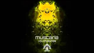 Muscaria - Magic Water