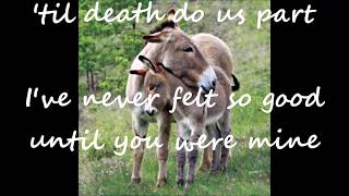 Sam Salter - On My Heart lyrics 1997