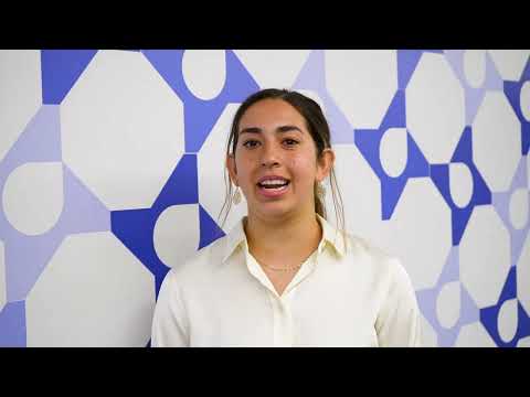 Air Liquide Summer Internship Program: How Would You Describe Air Liquide?