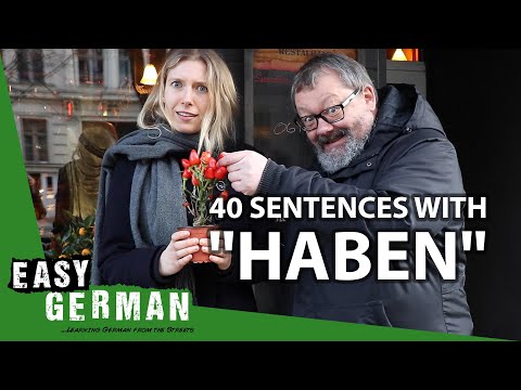 German Verbs: Haben | Super Easy German (131)