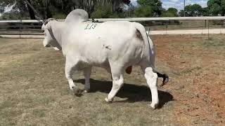 Download lagu Lot 113 mp3