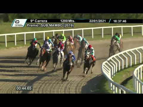 210122 c09 - REY DA NOITE - HIPODROMO LAS PIEDRAS