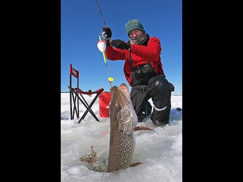 Amazing Giant Fish Fishing Skills in the ice river   Amazing Fastest Fish Catching Net Under Ice