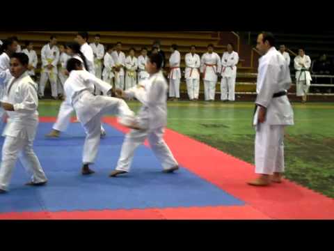 Karate Kid Micmas a nova geração