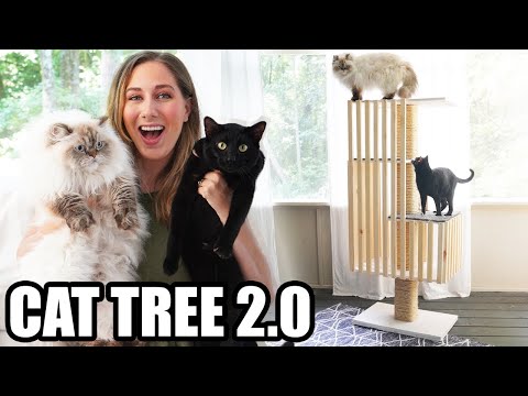 Making a Cat Tree (AGAIN!)