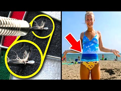 One in A Million Coincidences - Part 2