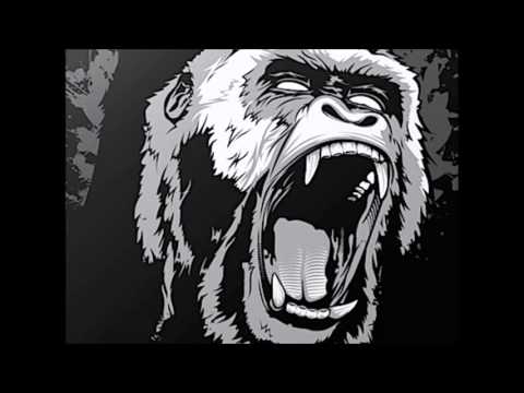 Adham aka Tokez-Gorilla