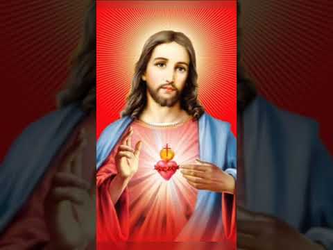 Day 197. Catholic Holy Bible in a Year with Explanation.