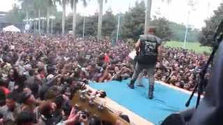 Download lagu Sexy Pig 'Band For The Punk's' Live at KINGKONG mp3 Download lagu Sexy Pig 'Band For The Punk's' Live at KINGKONG mp3