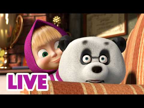 🔴 LIVE STREAM 🎬 Masha and the Bear 🥰🐼 Where You Are, There I Am 🐷💭