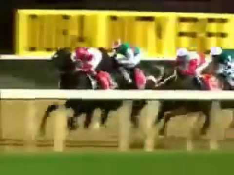 كاس دبى العالمى روزيز ان ماي 2005 * محمود ابوعوينى