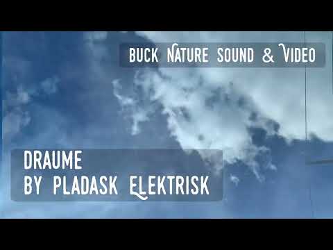 Pladask Elektrisk Draume V2 2021 - bare image 9