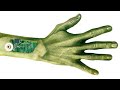 Do You Have Alien Hand Syndrome