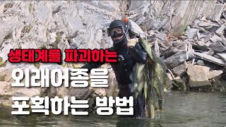 생태계 복원에 인간의 힘이 필요한 이유  / YTN 사이언스