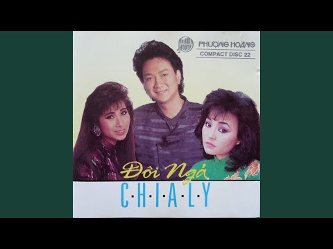 Thể hiện bởi Duy Quang