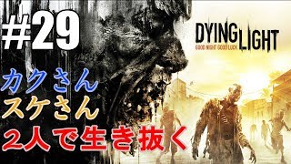 【初実況】2人で生き抜くDying Light #29【カクスケ】