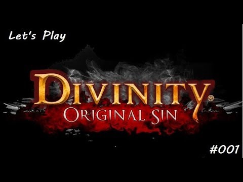 Divinity Original Sin  [co op] [Live Lets Play] Die Saga Beginnt #001