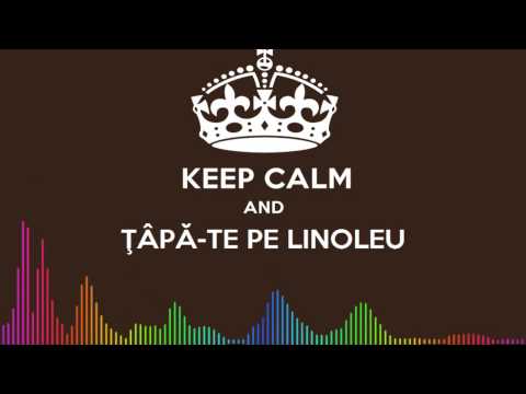 DJ DANY - ŢÂPĂ-TE PE LINOLEU (Original Mix)
