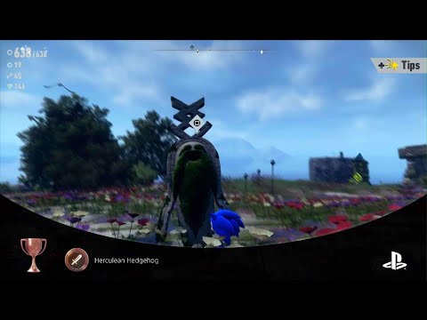 SONIC FRONTIERS-Herculean/Hardened hedgehog (Power & defence level 99)