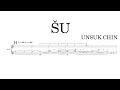 Unsuk Chin - Sheng Concerto 
