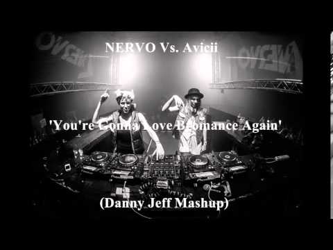 NERVO Vs. Avicii - You're Gonna Love Bromance Again (Danny Jeff Mashup)