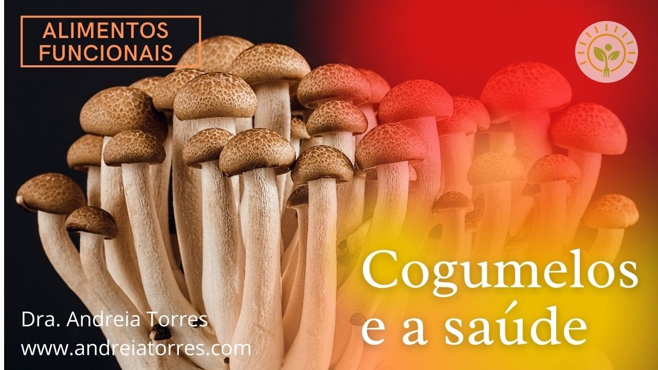 BENEFÍCIOS DOS COGUMELOS | APRENDA NUTRIÇÃO