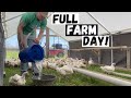 Day In The Life On A Small Farm