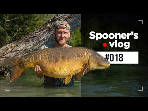 GIGANTICA Carp Fishing Social with Tom Dove and Friends | Spooners Vlog