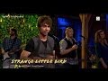 Alexander Rybak - Strange Little Bird - (lyrics) 