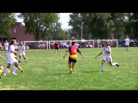 CSMRO FU13A 2010 HD.mov