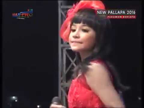 ANAK YANG MALANG TASYA ROSMALA NEW PALLAPA TERBARU