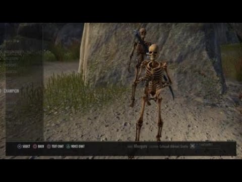 Stamina Necromancer 52k+ 3mil dummy - Dragonhold - bhnunes