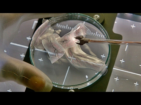 'Life' Official Trailer 2 (2017) | Jake Gyllenhaal, Ryan Reynolds