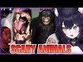 10 Most Disturbing Ways Animals Can Hunt You Vtuber Biologist REACTS To Casual Geographic