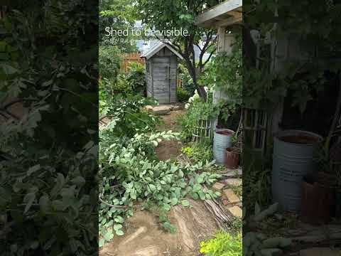 園芸 「フレンチスタイル」の花壇
