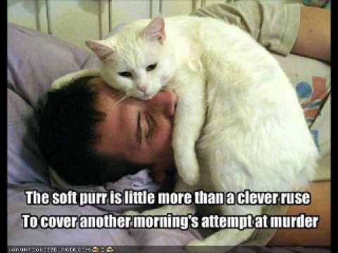 E FUNK FEAT LATANZA WATERS - CRAZY