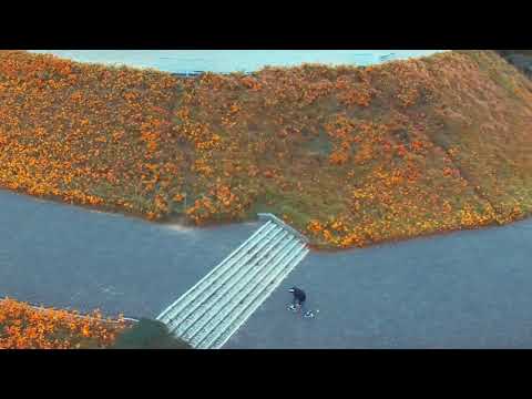 Roll4all - Kępol Freeskate Westerplatte