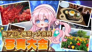 【雑談配信】6月写真大会へようこそ✨皆とお話するよ🌙*ﾟ🔰初見様大歓迎】#雑談 #初見歓迎