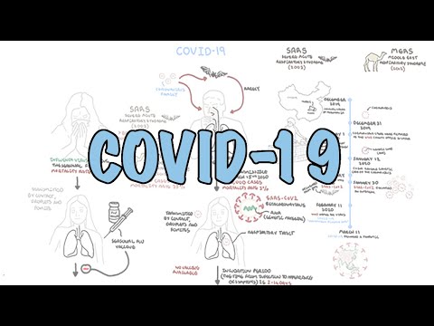 COVID-19 Visuelle Zusammenfassung der neuen Coronavirus-Pandemie