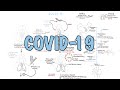 **COVID-19** a visual summary of the new coronavirus pandemic **COVID-19** a visual summary of the new coronavirus pandemic