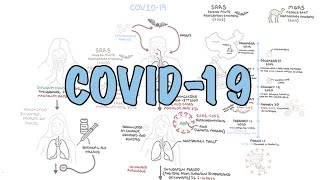 Download lagu **COVID-19**  a visual summary of the new coronavirus pandemic mp3