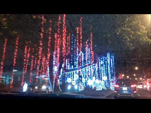 Nostalgia Navideña - Los Fabulosos Festival - DISCOS TAMAYO.